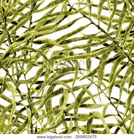 Tropical Seamless Pattern. Watercolor Messy Palm Leaves, Japanese Bamboo. Green Exotic Swimwear Desi