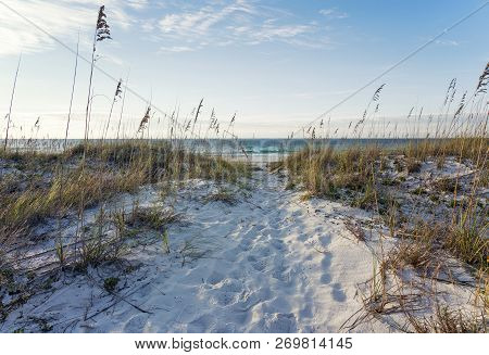 Landscape Of Sand Dunes, Sea Oats And Calm Turquoise Ocean Surf In The Rosy Light Of Early Morning.