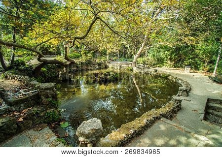 A Small Pond In Rodini Park In City Of Rhodes (rhodes, Greece)
