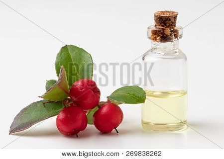 A Bottle Of Essential Oil With Wintergreen Leaves And Berries On A White Background