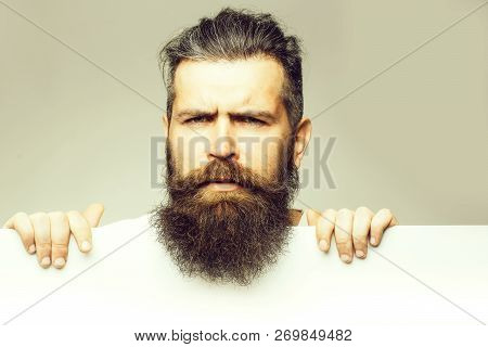 Handsome Bearded Man With Long Lush Beard And Moustache On Thougtful Face With White Paper Sheet In 