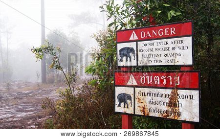 Warning Elephant Danger / Red Sign Set On Walkway In The Forest Warning Beware Of Elephant Wildlife 