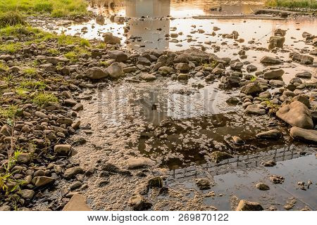 Wide Angle View Of Frog Eggs On Top Of River Near Shore Surrounded By Large Rocks With Bridge Suppor