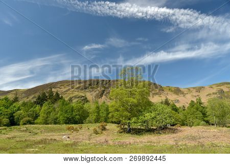 Scenery At The Foot Of Derwentwater Near Borrowdale In The English Lake District