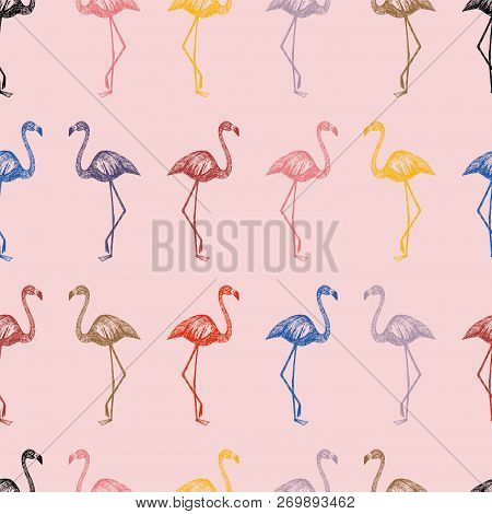 Multicolor Hand Drawn Flamingo In Penci Seamless Pattern Pink Background. Cartoon Wallpaper