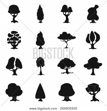 Isolated Object Of Tree And Nature Icon. Set Of Tree And Crown Vector Icon For Stock.