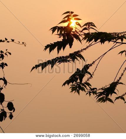 Silhouette sur fond de coucher de soleil