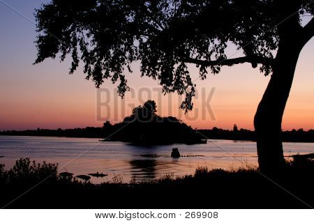 Siluett Willow i solnedgången
