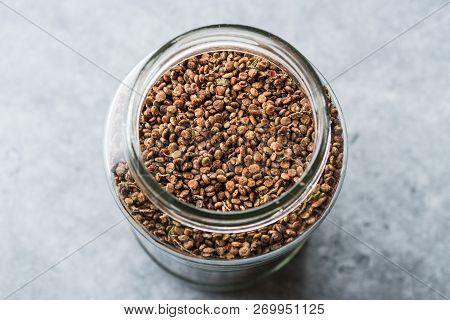Jar Of Sumac Seeds / Harvested Malosma Laurina Laurel Sumak