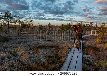 Kemeri. Latvia. Photographer Photographs The Sunrise In The Kemeri Bog In The Cold Autumn Morning.