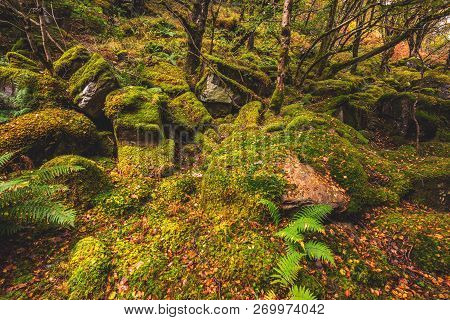 Scotland Autumn
