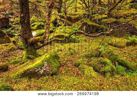 Scotland Autumn