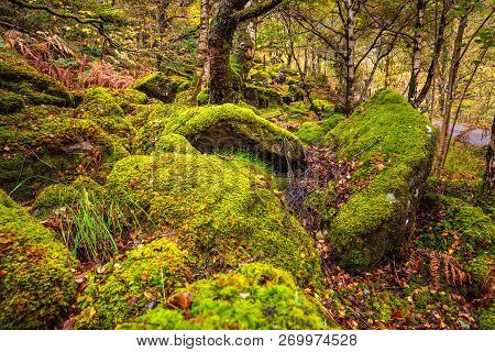 Scotland Autumn