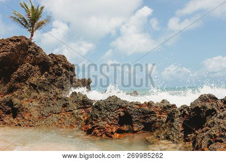 Beautiful Hot Sunny Beach In Brazil Northeast