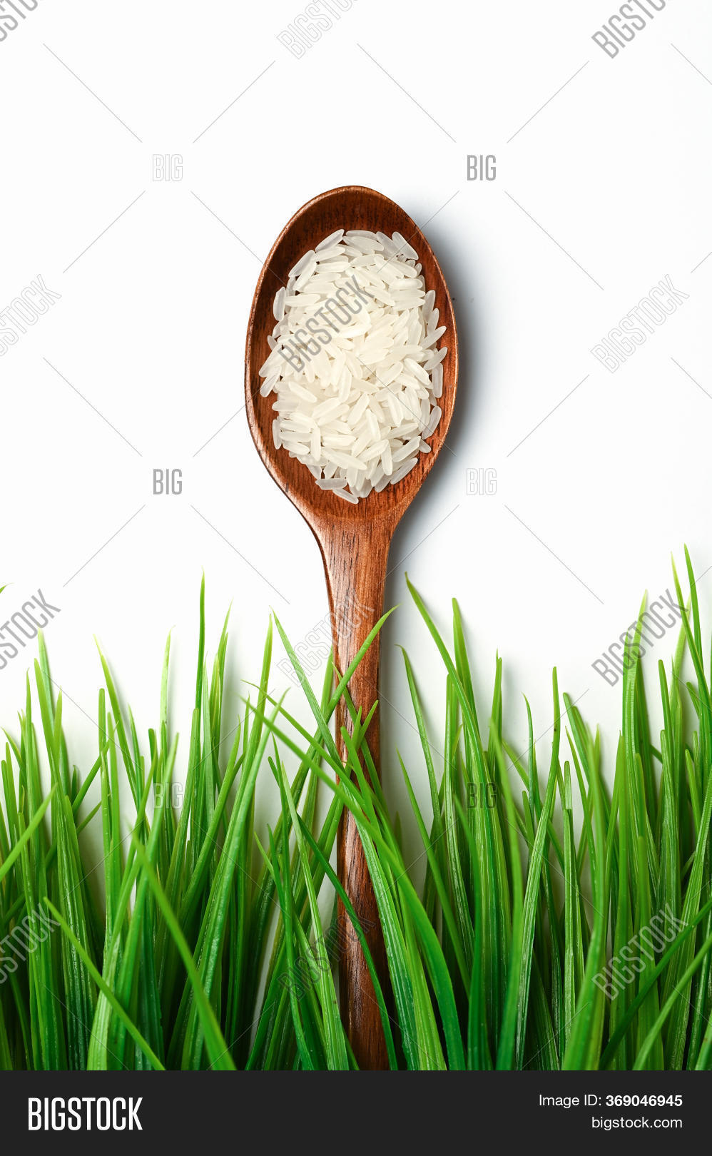 Spoon Rice Near Grass Image & Photo (Free Trial) Bigstock