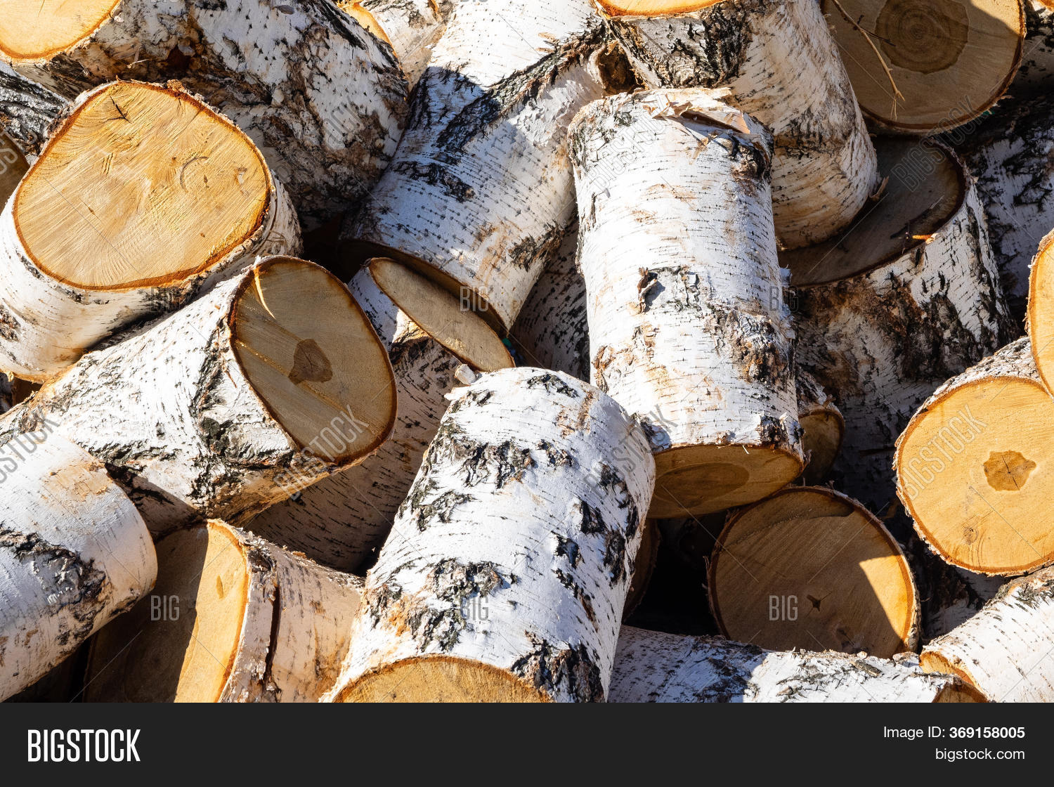 Thick Birch Logs Close Image & Photo (Free Trial) Bigstock
