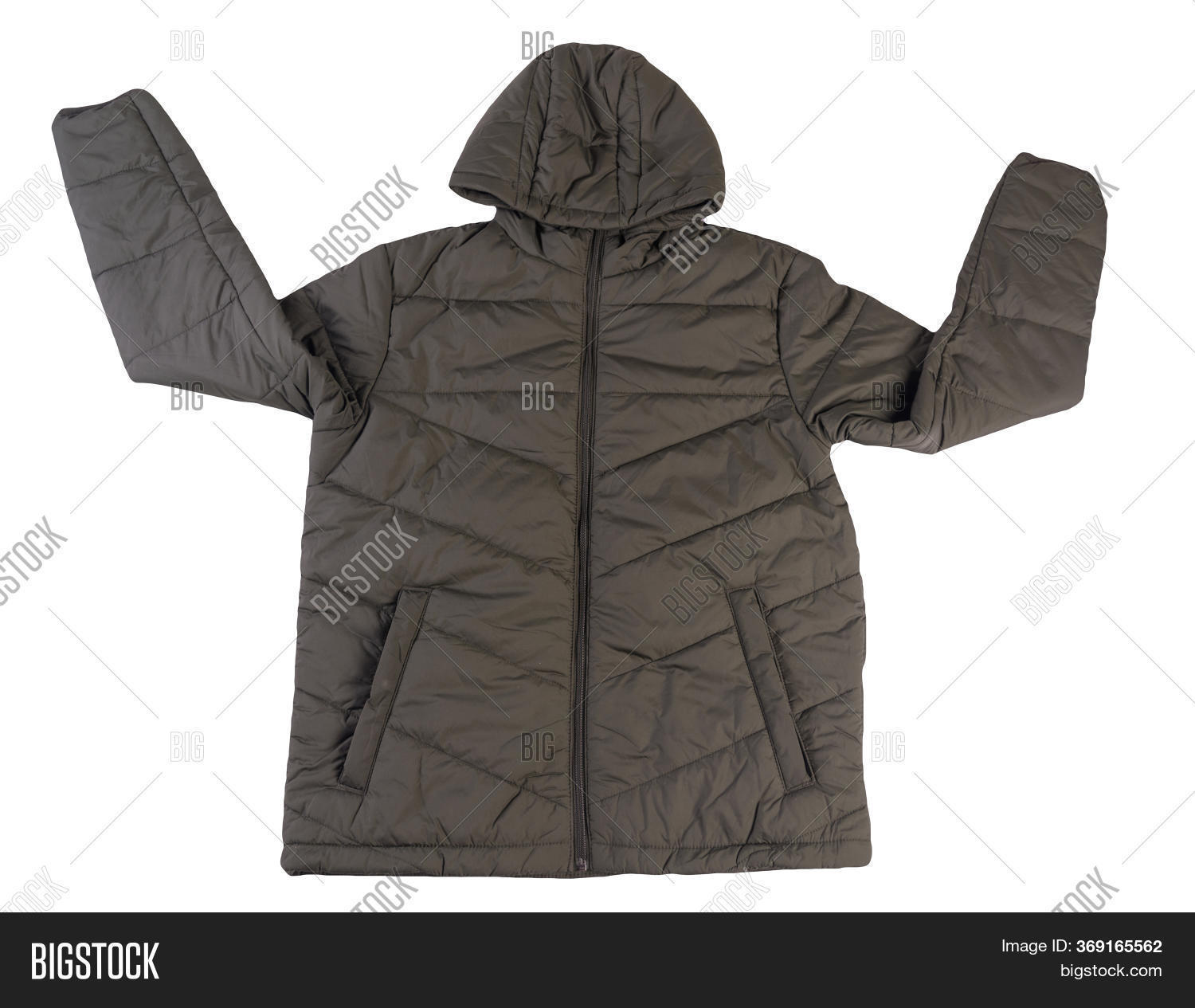 dark green jacket with hood