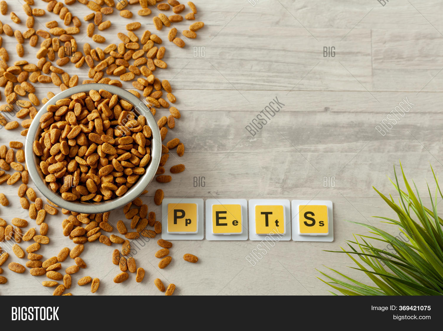 Bowl Pet Food Close Image & Photo (Free Trial) Bigstock