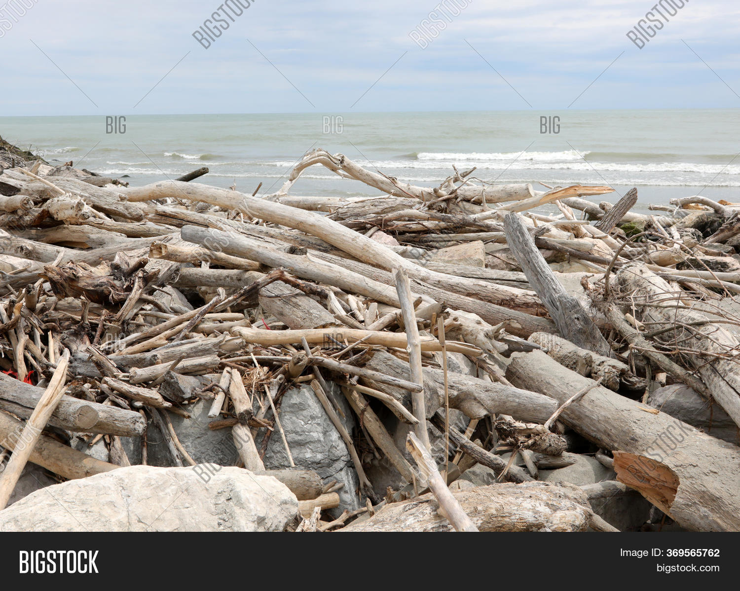 Many Dry Branches Image & Photo (Free Trial) Bigstock