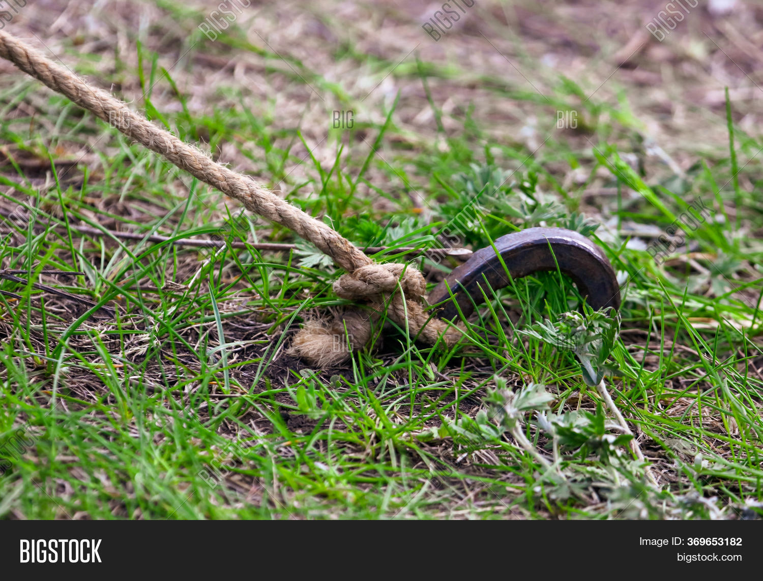 Peg Hammered Into Image & Photo (Free Trial) Bigstock