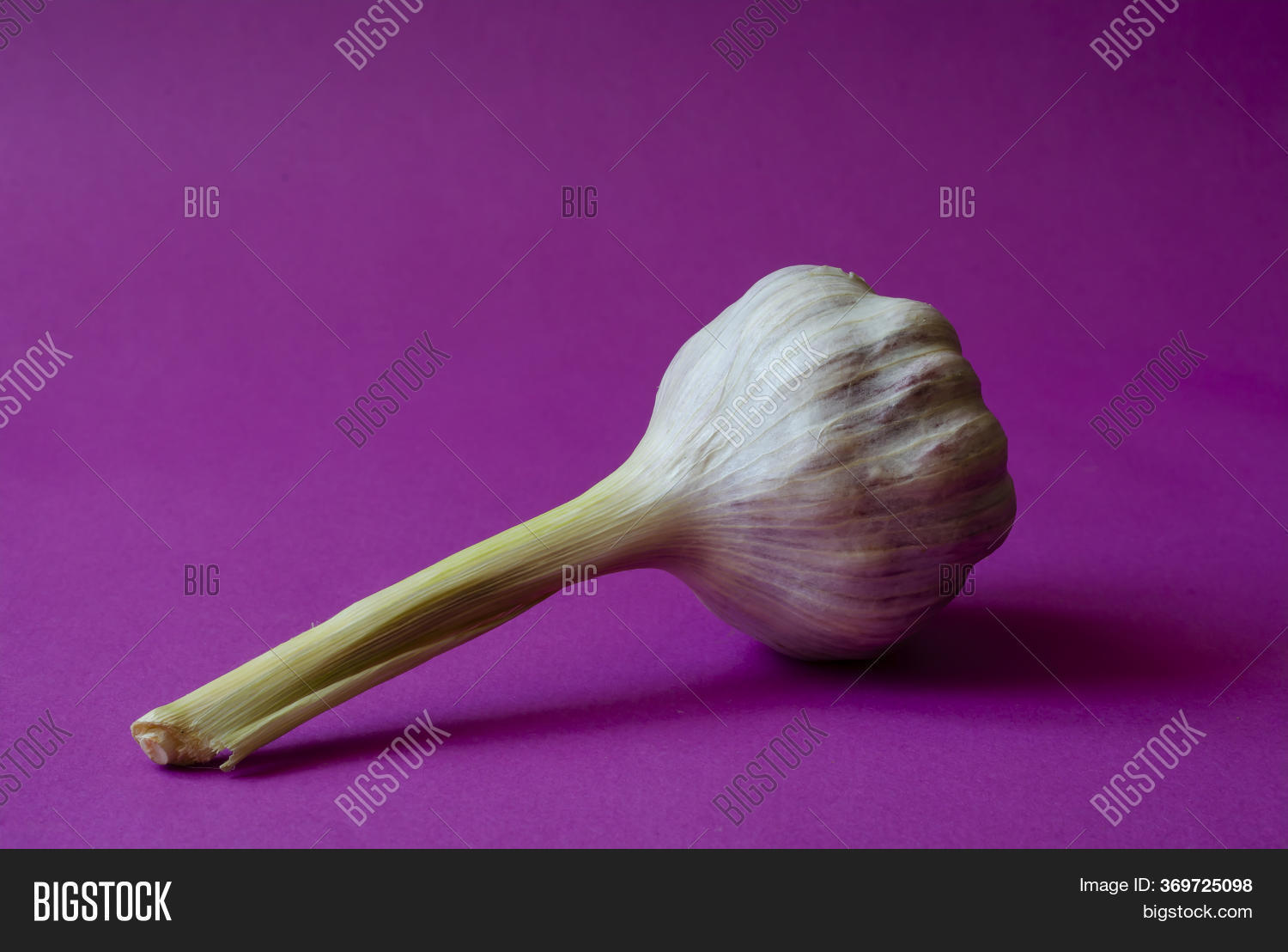 Head Fresh Garlic On Image & Photo (Free Trial) Bigstock