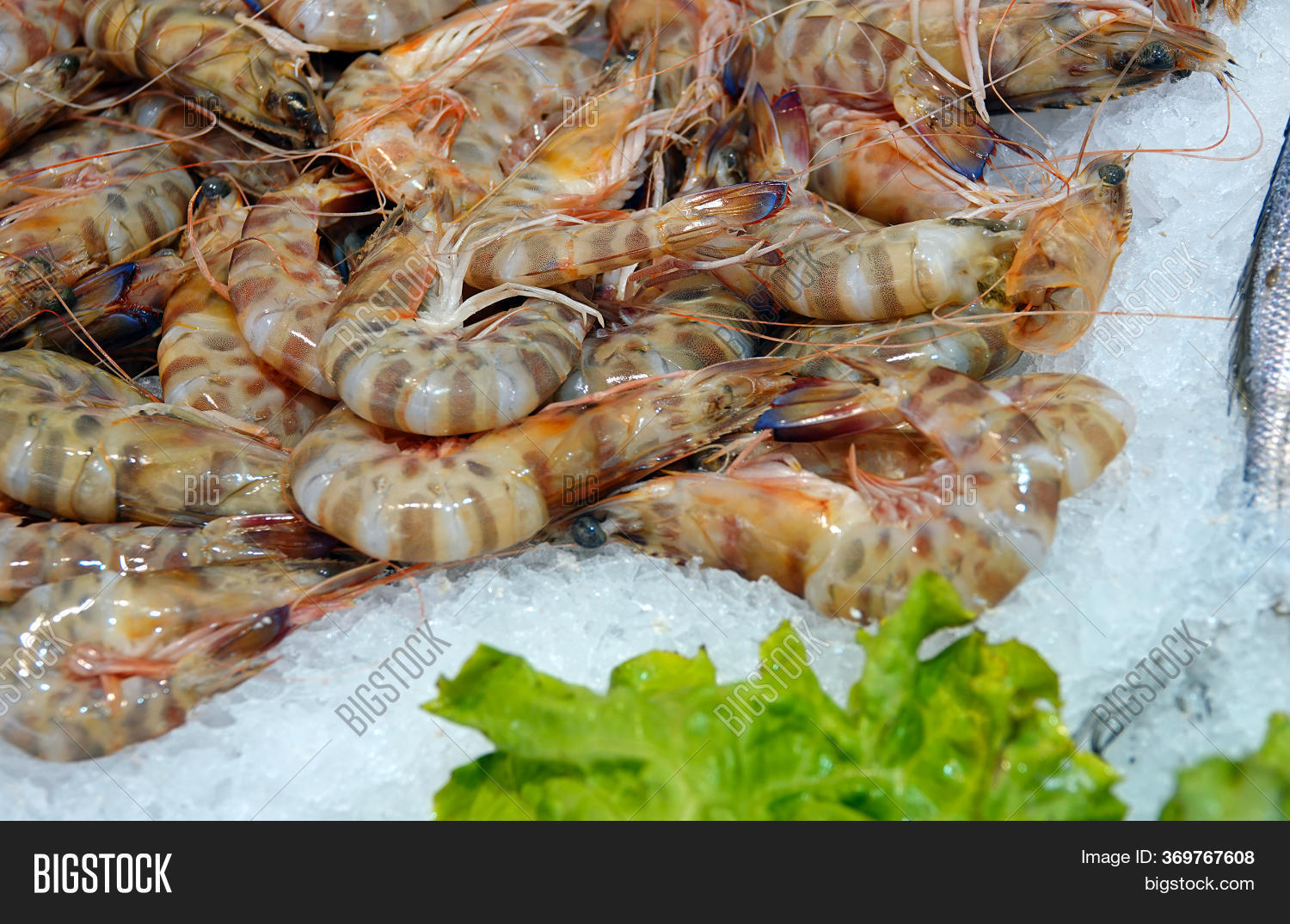 Raw Fish Meat Food Image & Photo (Free Trial) | Bigstock