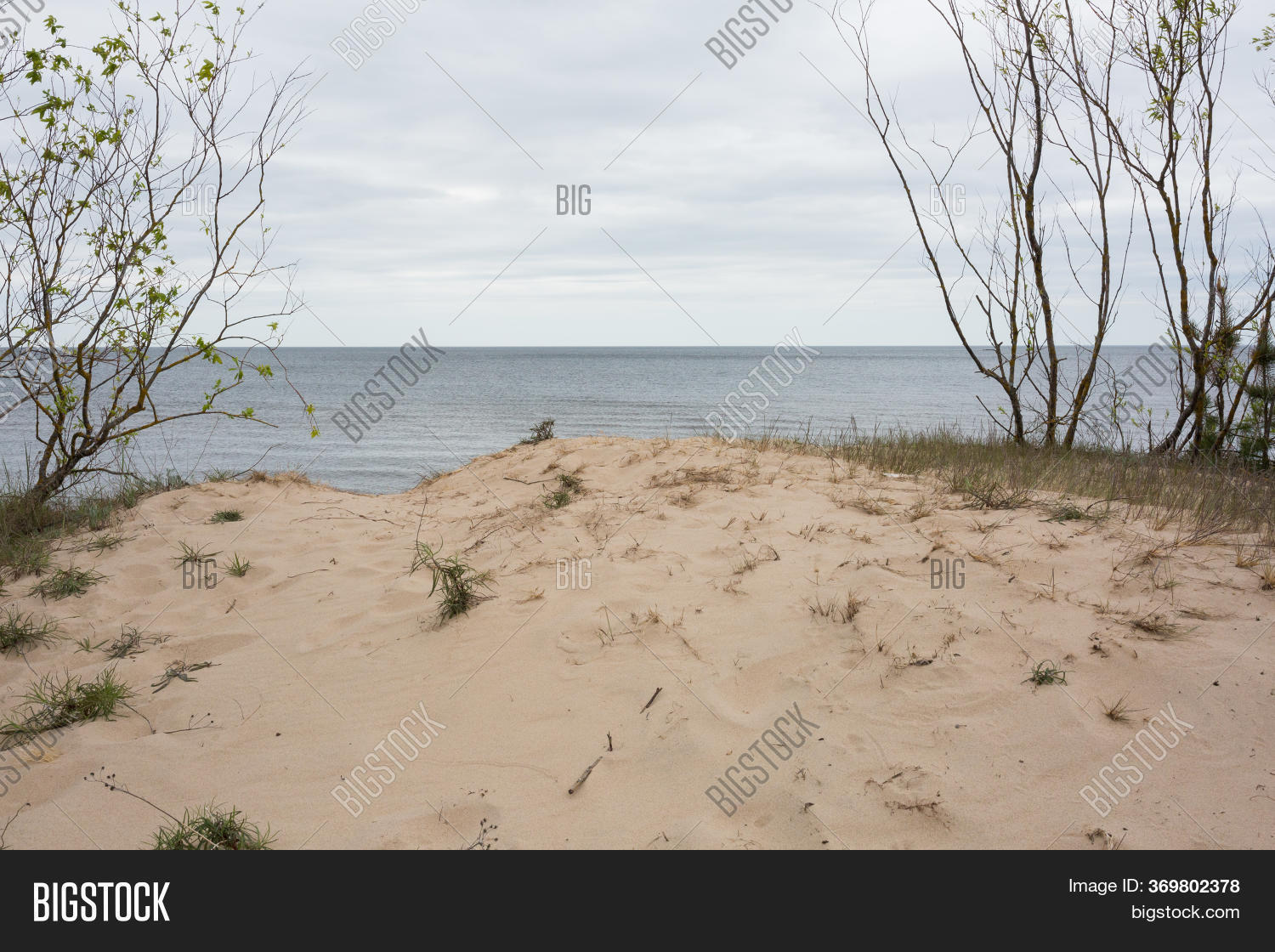 City Carnikava, Latvia Image & Photo (Free Trial) Bigstock