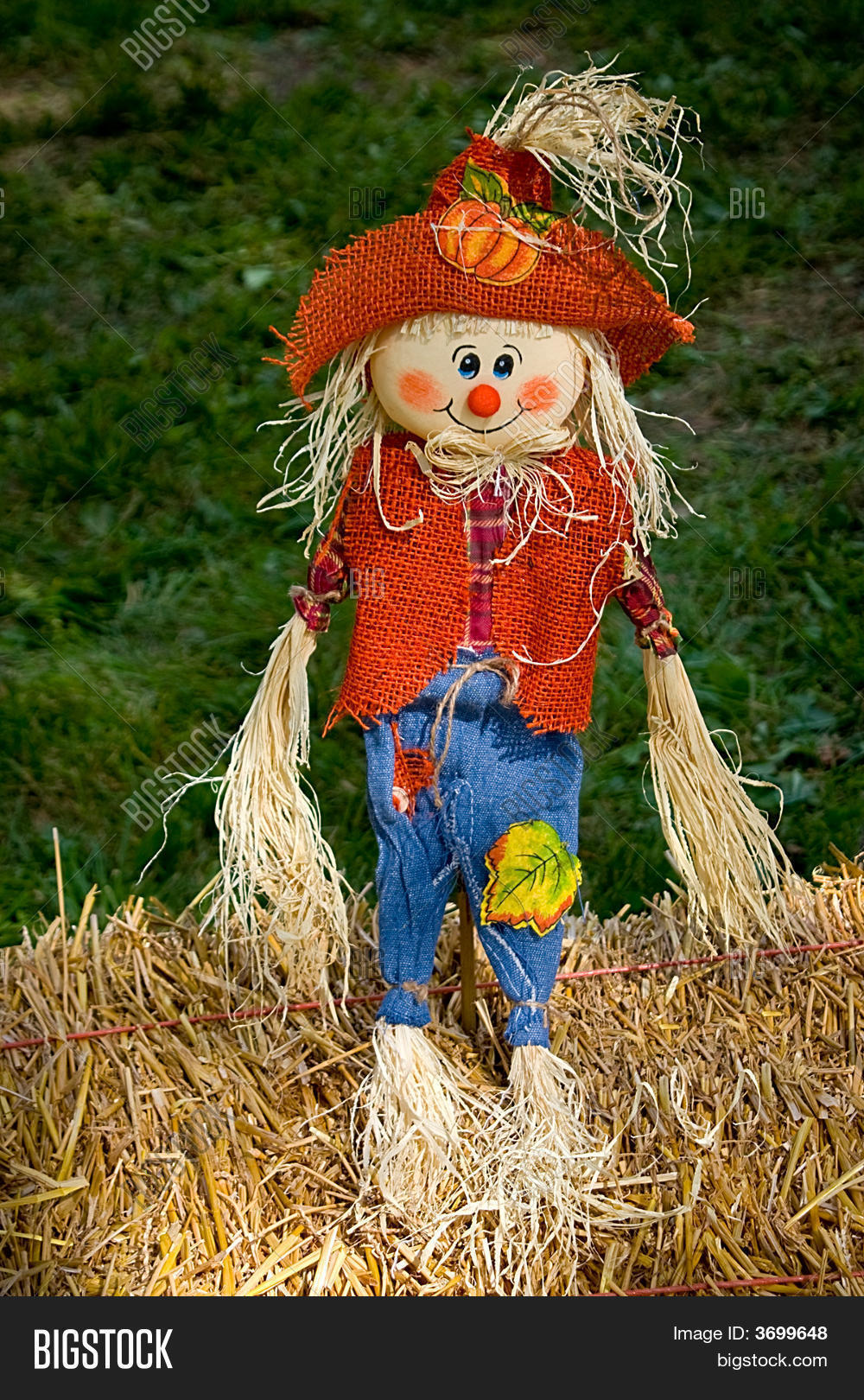 Scarecrow Doll Image & Photo (Free Trial) | Bigstock