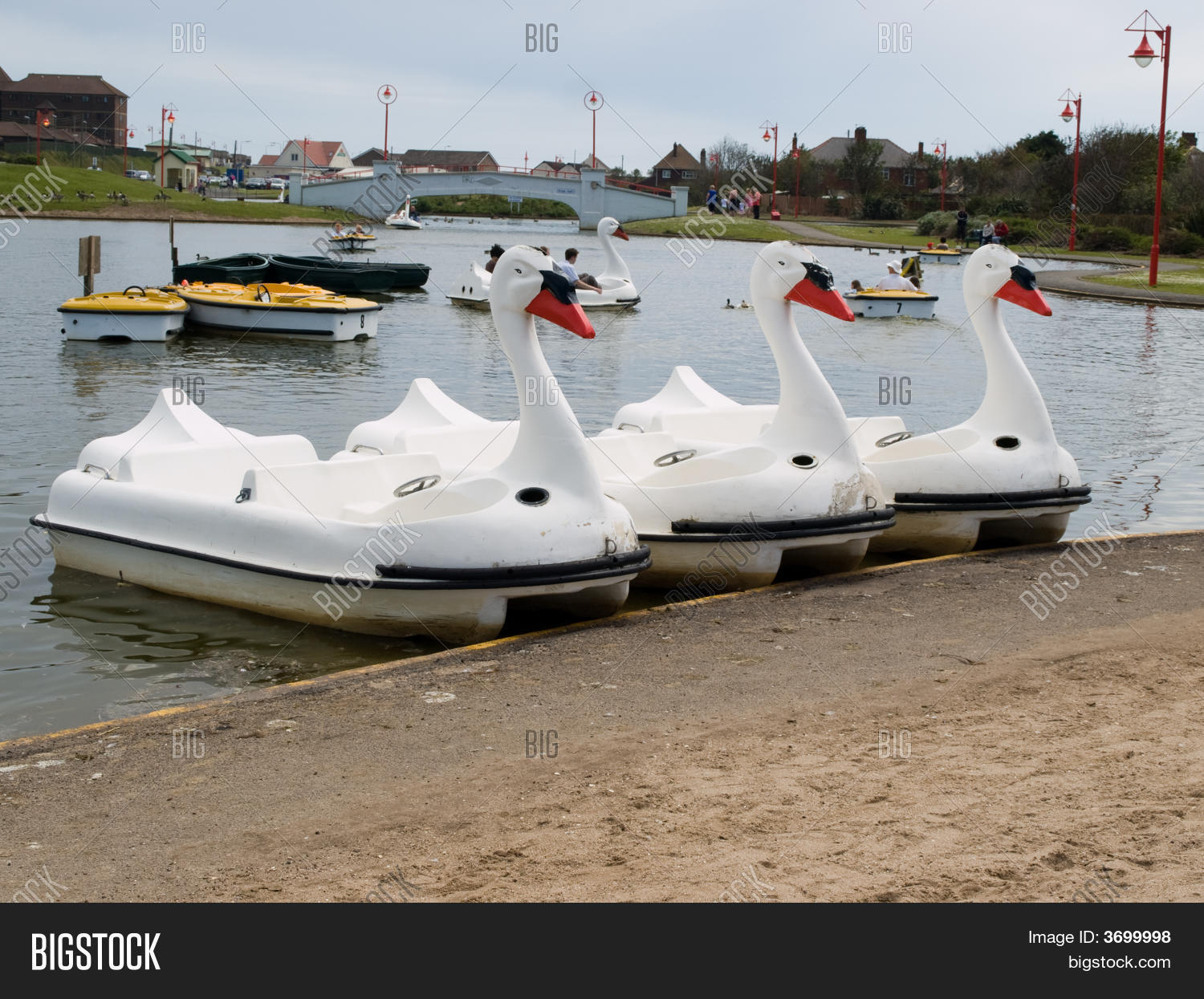 Swan Pedal Boats Image & Photo (Free Trial) Bigstock