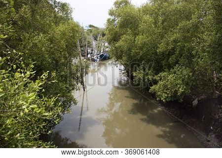 View Landscape With Mangrove Forest And Small Canal Of Ban Bang Krachao Fishing Village Samut Sakhon