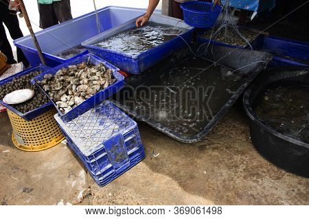 Local Market Seafood Shop For Sale Thai People And Travelers Customer At Ban Bang Krachao Fishing Vi