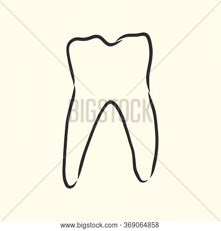 Hand-drawn Black Lines Sketch Molar, Tooth. Doodle Drawing. Object, Element, Icon Component For Illu
