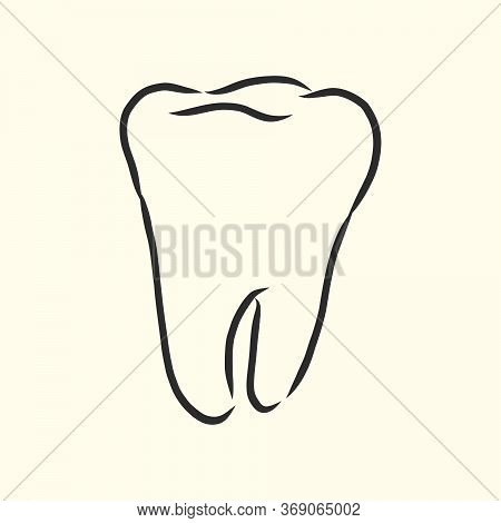 Hand-drawn Black Lines Sketch Molar, Tooth. Doodle Drawing. Object, Element, Icon Component For Illu