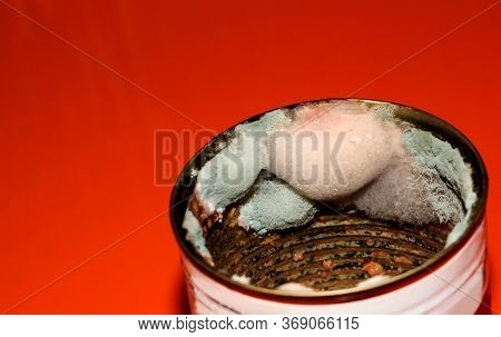 Mold In The Food Jar. Spoiled Food. Toxic Canned Food.