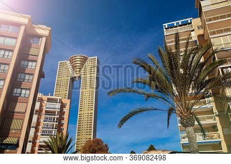 Benidorm, Alicante, Spain - November 27, 2019: Benidorm Skyscrapers And Palm Tree Close-up, Business