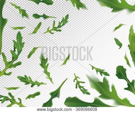 Arugula Leaves Background. Flying Green Ruccola On Transparent Background. Fresh Arugula Falling Fro