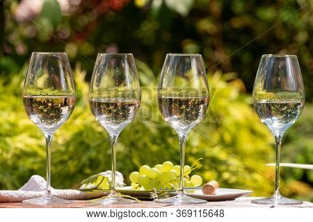Tasting Of Pinot Gridgio Rose Wine On Winery In Veneto, Italy. Glasses Of Cold Dry Wine Served Outdo