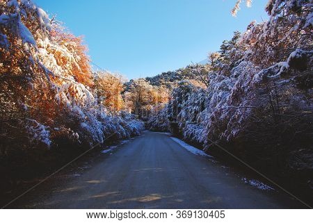 Incredible Beautiful Road Between Snow Trees Autumn