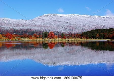Reflection Of Trees In Lagoon Autumn Lapataia