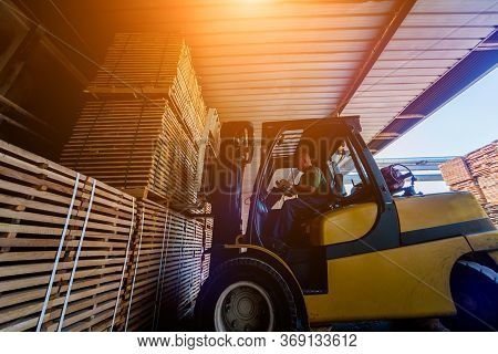Forklift Loader Load Lumber Into A Dry Kiln. Wood Drying In Containers.