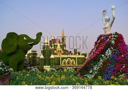 Composition Of The Plants. A Miracle Is A Garden. Dubai Land District, Dubai, Al Barsha South, 3.  E