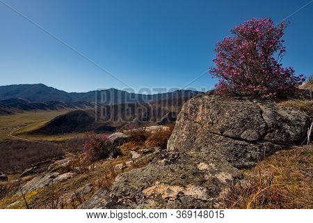 Russia. South Of Western Siberia. Mountain Altai. Thousands Of Tourists From Different Countries In 