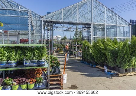 Toronto, Canada, May 2020 - Adult Male With Shopping Cart Looking At Plants In An Alley Of A Garden 