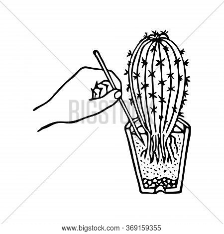 Black Outline Hand Drawing Vector Illustration Of A Decorative Plant With Roots Transplanting In A P