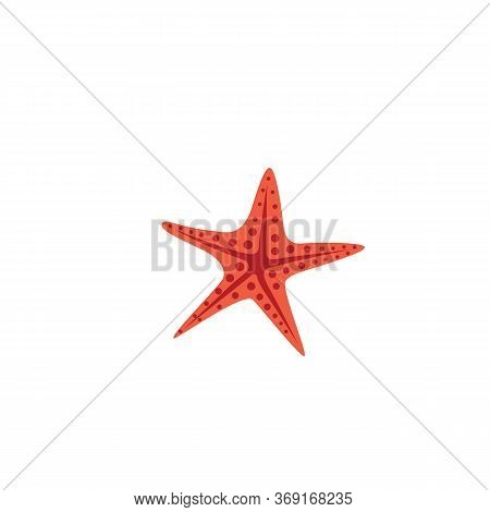 Star Fish Logo Vector Flat Design