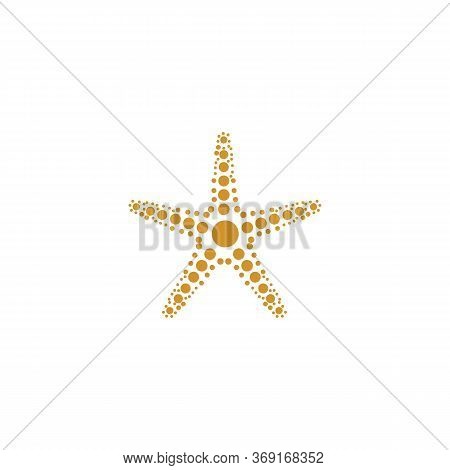 Star Fish Logo Vector Flat Design