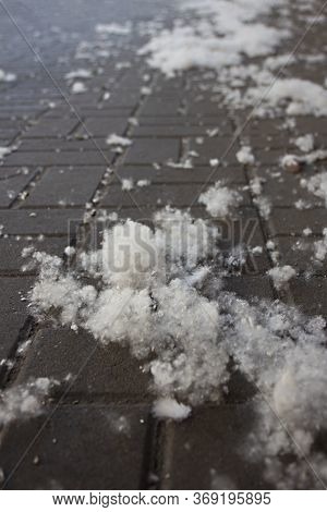 Poplar Fluff Laying On Street Pavement In A Big City. Poplar Fluff Is Not To Blame For Allergies, Su