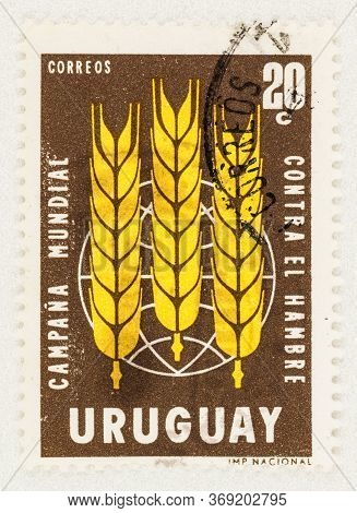Seattle Washington - May 30, 2020: Global Freedom From Hunger Campaign On Uruguay Stamp.  Scott # 70