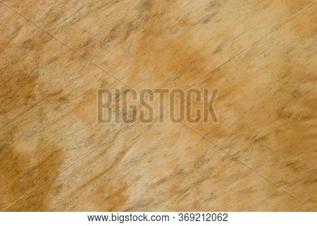 Texture Background Of Dried Banana Leaf. Closeup And Copy Space.