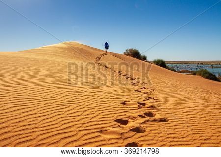 Walking Alone In The Dunes Of Simpson's Desert.